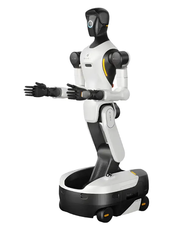 Agibot G2